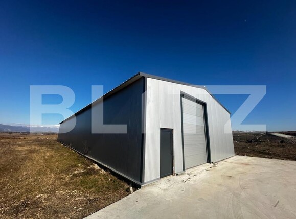 Spațiu industrial de închiriat Preajba - 154155SII | BLITZ Craiova | Poza3