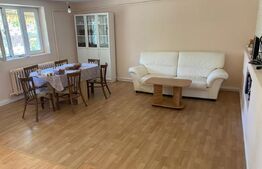 Casa cu 4 camere în regim D+P+E, 130 mp² și 1030 mp² de curte, Centru - Brestei