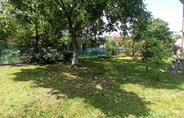 Casa cu 4 camere în regim D+P+E, 130 mp² și 1030 mp² de curte, Centru - Brestei