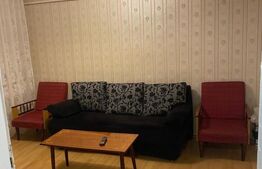 Casa cu 4 camere în regim D+P+E, 130 mp² și 1030 mp² de curte, Centru - Brestei