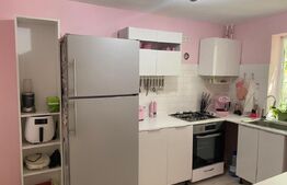 Casa cu 4 camere în regim D+P+E, 130 mp² și 1030 mp² de curte, Centru - Brestei