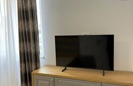 Apartament 2 camere modern, centrala, AC, parcare privata, zona Brazda