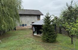 Casă P + E la roșu, 106 mp utili, 198 mp teren