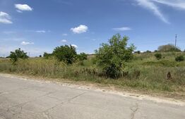 Teren intravilan, 6900 mp, deschidere 29 m, zona Isalnita