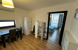 Garsonieră Modernă de Închiriat în Cartierul Brestei - Confort și Economie