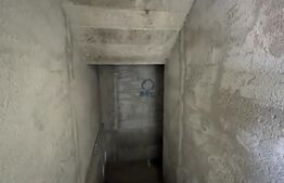 Casa la alb în zona Ford, 232mp utili, 450mp teren