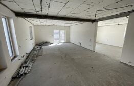 Casa la alb în zona Ford, 232mp utili, 450mp teren