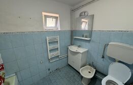 Casa + curte, pretabila muncitori, PetFrendly, Strada Brestei
