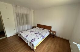 Casa + curte, pretabila muncitori, PetFrendly, Strada Brestei