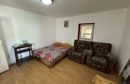 Casa + curte, pretabila muncitori, PetFrendly, Strada Brestei