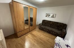 Casa + curte, pretabila muncitori, PetFrendly, Strada Brestei