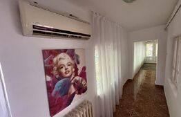 Casa + curte, pretabila muncitori, PetFrendly, Strada Brestei