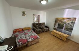Casa + curte, pretabila muncitori, PetFrendly, Strada Brestei