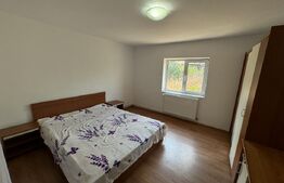 Casa + curte, pretabila muncitori, PetFrendly, Strada Brestei
