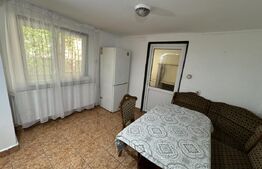 Casa + curte, pretabila muncitori, PetFrendly, Strada Brestei