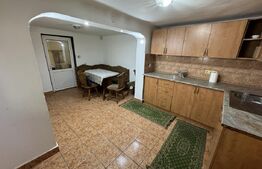 Casa + curte, pretabila muncitori, PetFrendly, Strada Brestei