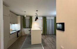 Apartament 3 camere de 80 mp, terasă și bar cu grătar, Calea Severinului