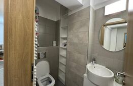 Apartament 3 camere de 80 mp, terasă și bar cu grătar, Calea Severinului