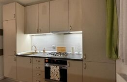 Apartament 3 camere de 80 mp, terasă și bar cu grătar, Calea Severinului