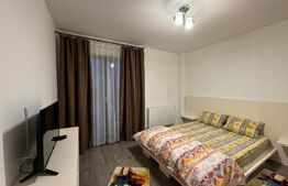 Apartament 3 camere de 80 mp, terasă și bar cu grătar, Calea Severinului