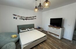 Studio lux 47mp, incalzire in pardoseala, PetFrendly, General Magheru