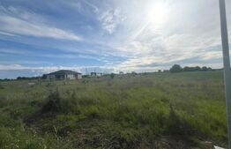 Oportunitate investitie, teren intravilan 2280mp, Isalnita