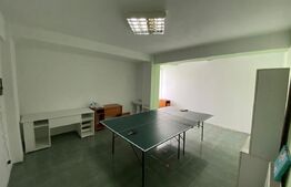 Spațiu birouri de închiriat Romanesti - 197266SIB | BLITZ Craiova | Poza3