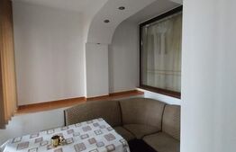 Garsoniera 34mp Brazda lui Novac parter