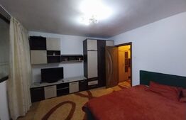 Garsoniera 34mp Brazda lui Novac parter