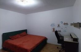 Garsoniera 34mp Brazda lui Novac parter