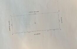 Teren 176 mp, Romanesti