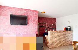 Propietate comercial-industriala, 970 mpc si 3150 mp teren cu deschidere dubla!