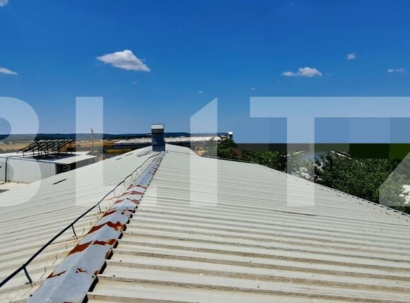 Spațiu industrial de vânzare Romanesti - 154972SVI | BLITZ Craiova | Poza10
