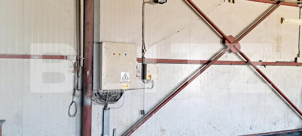 Spațiu industrial de vânzare Romanesti - 154972SVI | BLITZ Craiova | Poza7