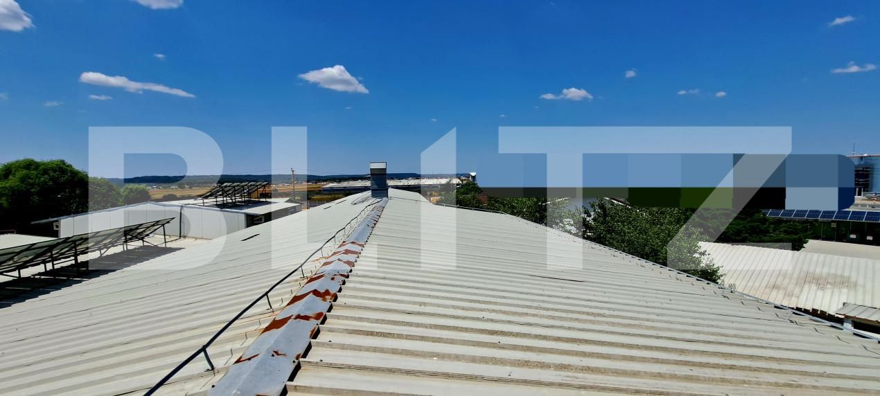 Spațiu industrial de vânzare Romanesti - 154972SVI | BLITZ Craiova | Poza10