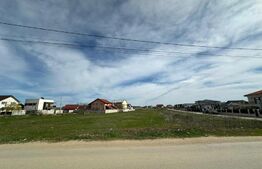 Teren intravilan, 5000 mp, zona Selgros