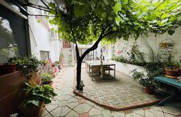 Proprietate centrala, 2 case, 240 mp utili, 320 mp teren