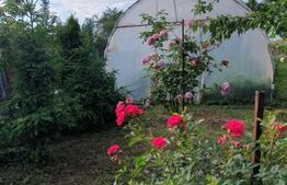 Casa zona Calea Bucuresti, 114 mp utili pe un teren de 1008 mp