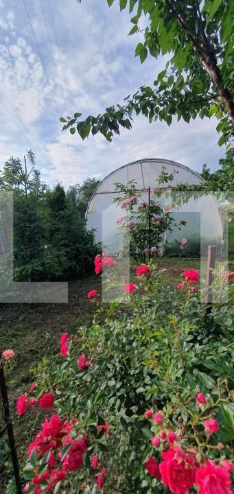 Casa de vânzare 4 camere Calea Bucuresti - 155144CV | BLITZ Craiova | Poza9