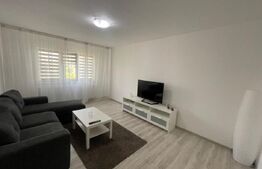 Apartament 2 camere modern, Centrala termica, Ac, Brazda lui Novac