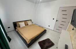 Apartament 3 camere decomandat 72 mp, Rovine , zona Institut 