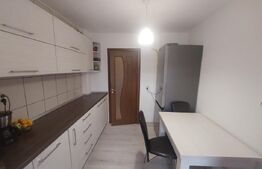 Apartament  2 camere decomandat, Rovine 56mp, zona Penny Rovine