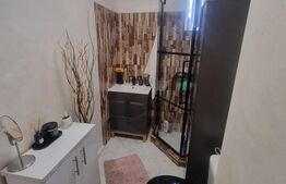 Apartament 2 camere, decomandat, aer conditionat, Calea Bucuresti