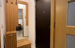 Garsoniera, pet friendly, centrală termică, AC, etaj 2, zona Institut