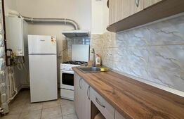 Garsoniera, pet friendly, centrală termică, AC, etaj 2, zona Institut