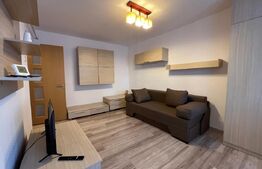 Garsoniera, pet friendly, centrală termică, AC, etaj 2, zona Institut