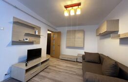 Garsoniera, pet friendly, centrală termică, AC, etaj 2, zona Institut