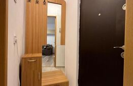 Garsoniera, pet friendly, centrală termică, AC, etaj 2, zona Institut