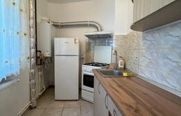 Garsoniera, pet friendly, centrală termică, AC, etaj 2, zona Institut