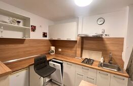 Apartament 2 camere, mobilat si utilat modern, zona Centrala 